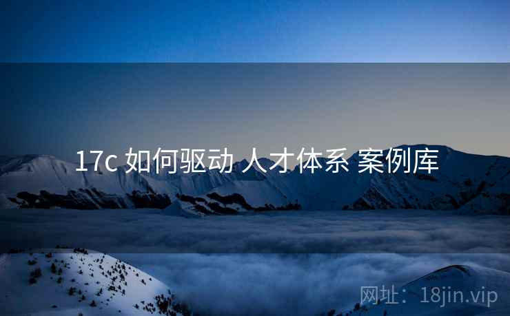 17c 如何驱动 人才体系 案例库 17c 如何驱动 人才体系 案例库