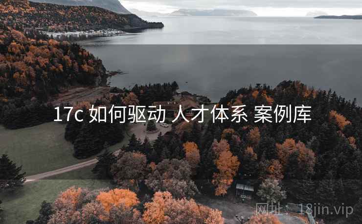 17c 如何驱动 人才体系 案例库 17c 如何驱动 人才体系 案例库