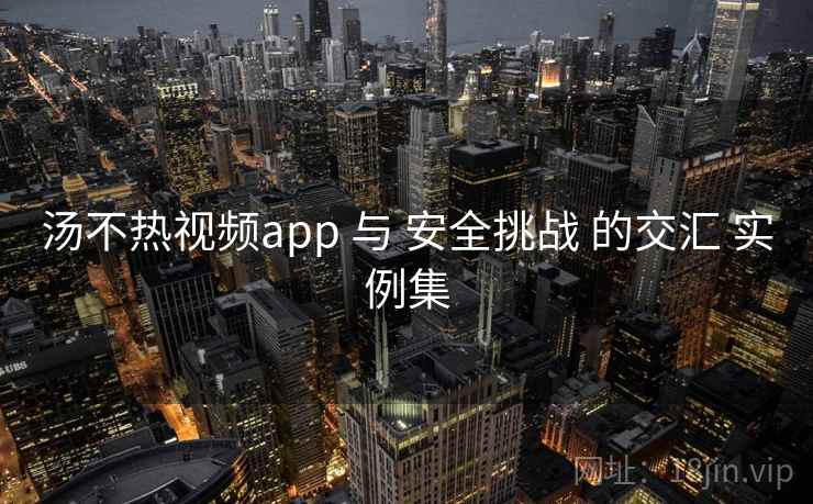 汤不热视频app 与 安全挑战 的交汇 实例集