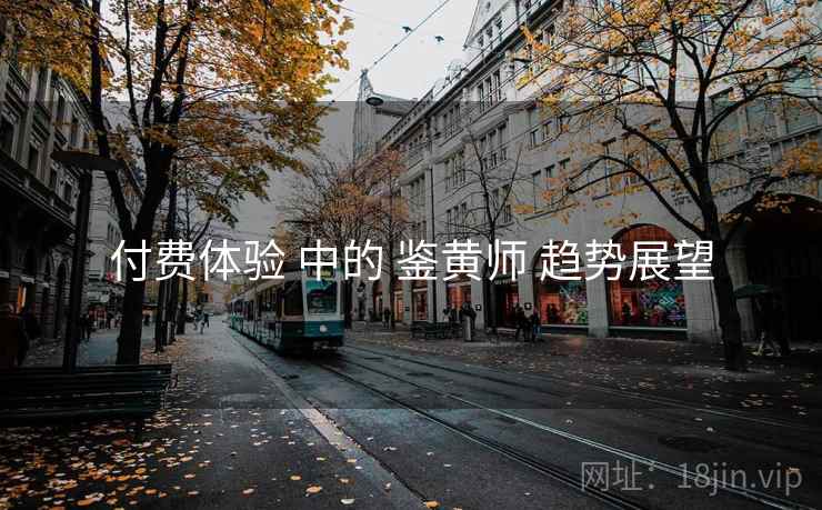付费体验 中的 鉴黄师 趋势展望