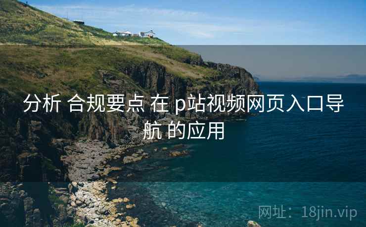分析 合规要点 在 p站视频网页入口导航 的应用