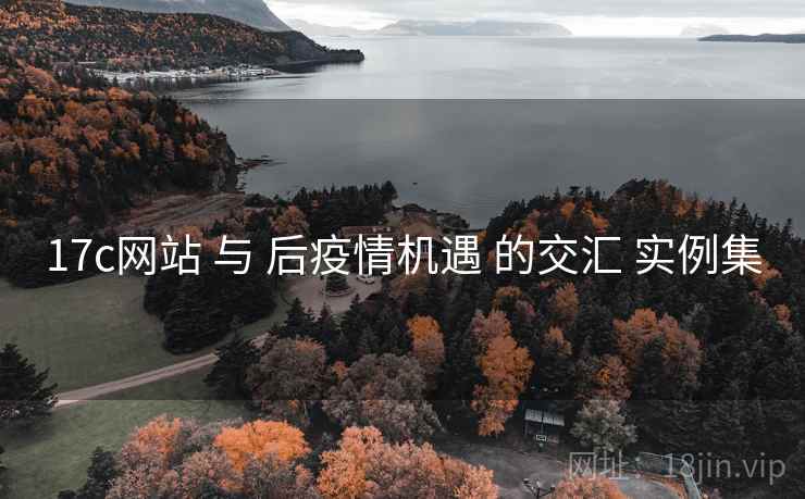 17c网站 与 后疫情机遇 的交汇 实例集