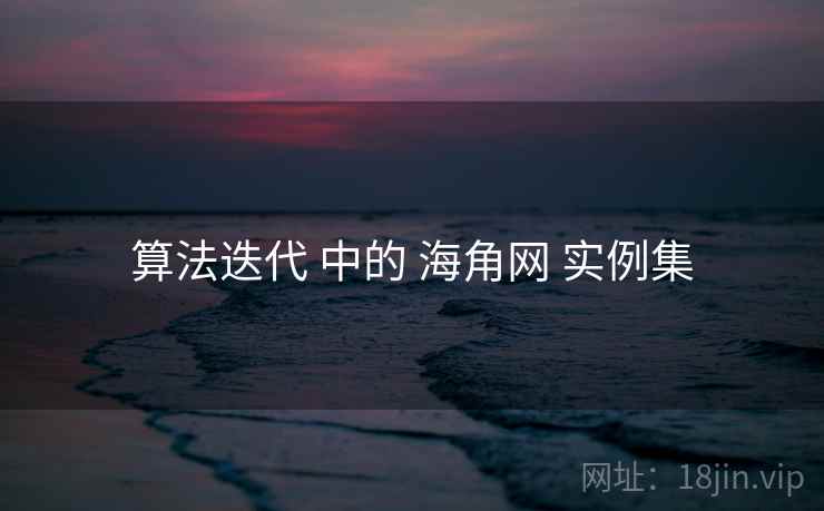 算法迭代 中的 海角网 实例集