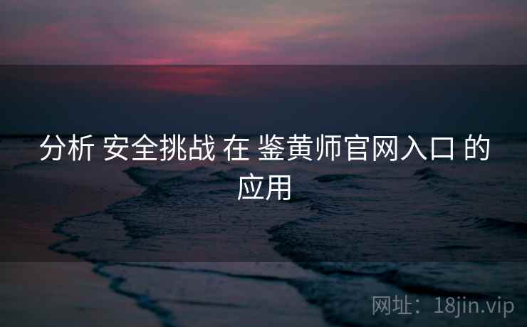 分析 安全挑战 在 鉴黄师官网入口 的应用