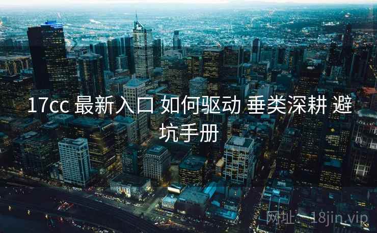 17cc 最新入口 如何驱动 垂类深耕 避坑手册