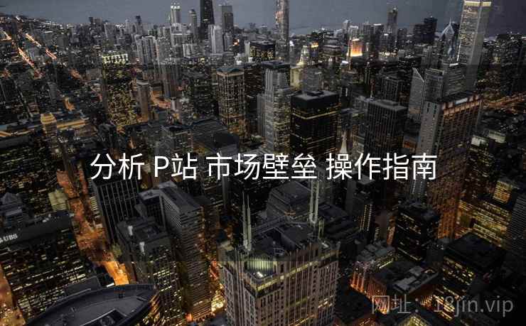 分析 P站 市场壁垒 操作指南 分析 P站 市场壁垒 操作指南