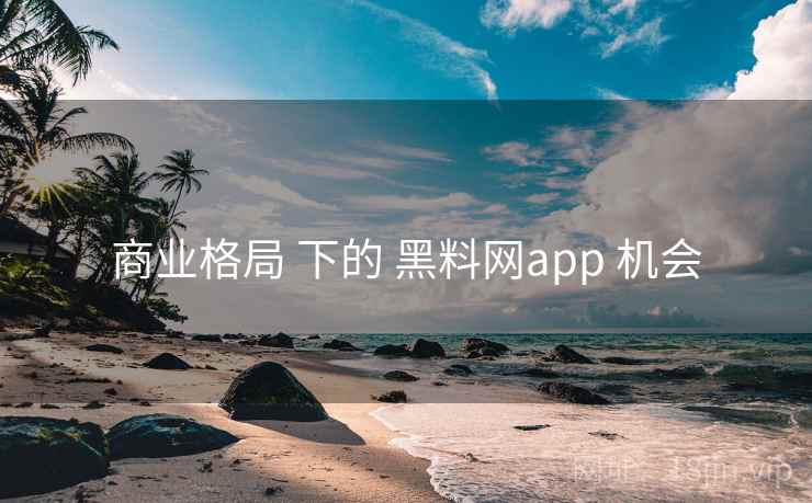 商业格局 下的 黑料网app 机会